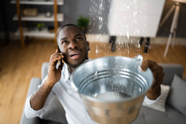 Best Water damage restoration company  in Elfers, FL