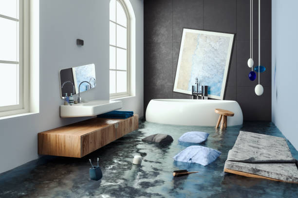 Best Basement water damage restoration  in Elfers, FL