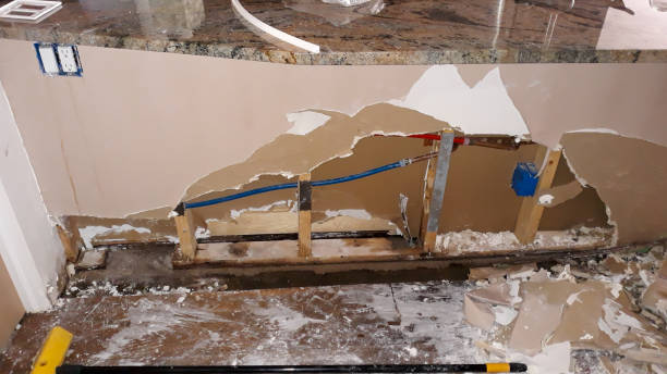 Best 24/7 water damage repair  in Elfers, FL
