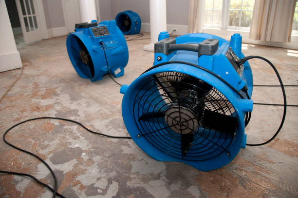 Best Sewage cleanup and water damage restoration  in Elfers, FL