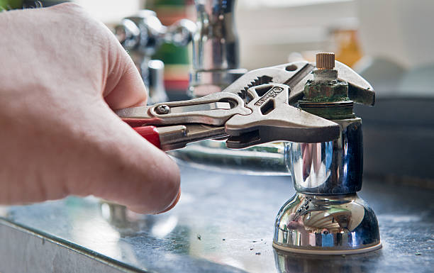 Best Professional water damage repair  in Elfers, FL