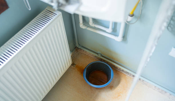  Elfers, FL Water damage restoration Pros