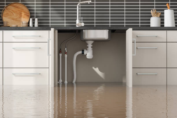 Best Flood damage cleanup  in Elfers, FL