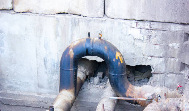 Best Commercial water damage restoration  in Elfers, FL