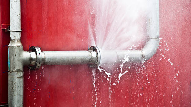 Best 24-hour water damage restoration  in Elfers, FL